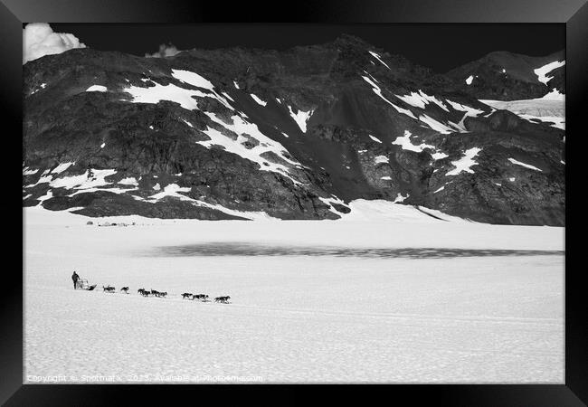 Aerial view team of Alaskan Husky dogsledding USA Framed Print by Spotmatik 