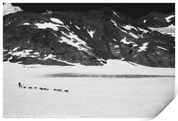 Aerial view team of Alaskan Husky dogsledding USA Print by Spotmatik 