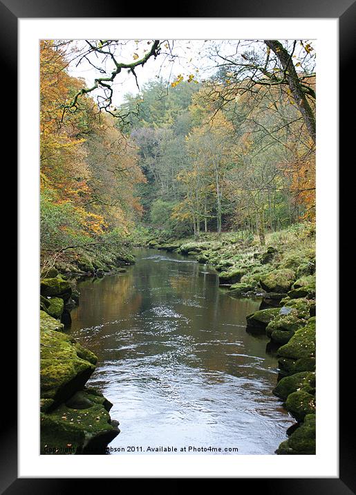 The Strid Framed Mounted Print by Mark Hobson