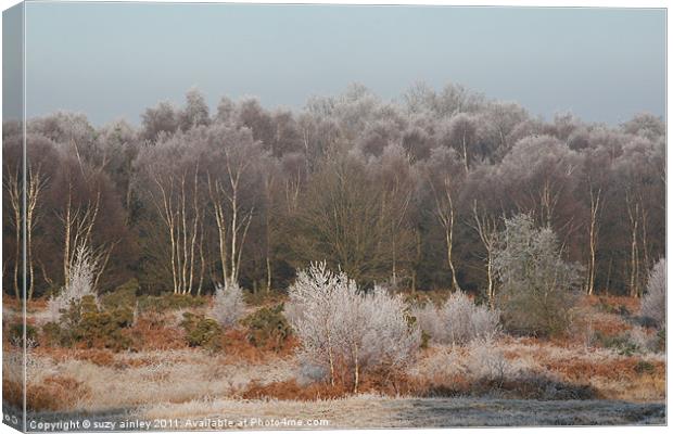 Frosty trees Canvas Print by suzy ainley