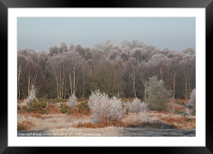 Frosty trees Framed Mounted Print by suzy ainley