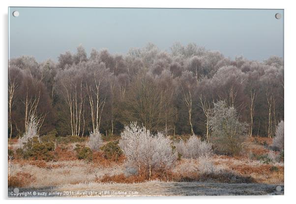 Frosty trees Acrylic by suzy ainley