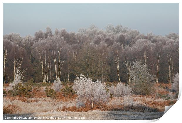 Frosty trees Print by suzy ainley