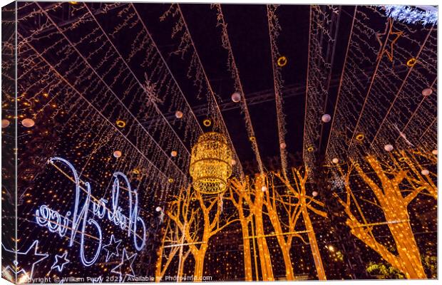 Christmas Star Lights Decorations Illuminated Exhibit Cityscape  Canvas Print by William Perry