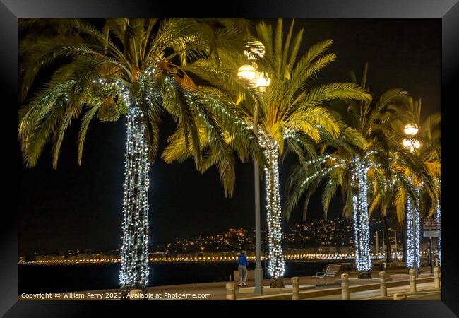 Christmas Decorations Palm Trees Nice France Framed Print by William Perry