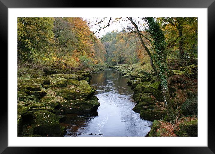 The Strid at Bolton Abbey Framed Mounted Print by Mark Hobson