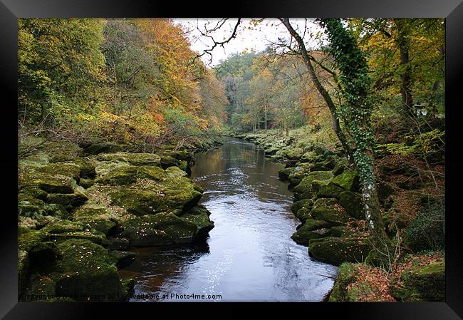 The Strid at Bolton Abbey Framed Print by Mark Hobson