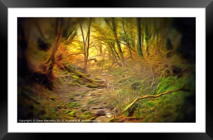 Northern Lands-A Walk in the Forest. Framed Mounted Print by Dave Harnetty