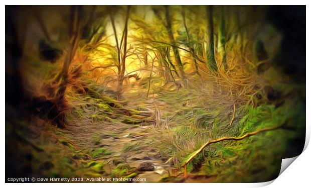 Northern Lands-A Walk in the Forest. Print by Dave Harnetty