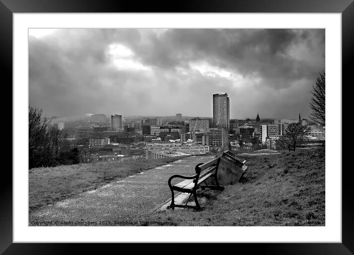 Sheffield  Framed Mounted Print by Alison Chambers