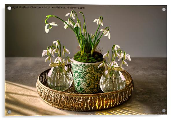 Snowdrops Acrylic by Alison Chambers