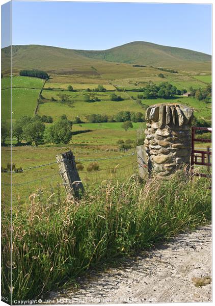 Gatepost in the Sperrin Mountains Canvas Print by Jane McIlroy