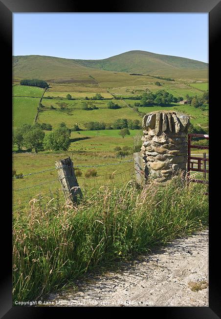 Gatepost in the Sperrin Mountains Framed Print by Jane McIlroy