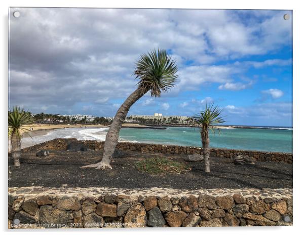 Tropical Serenity: Lanzarote's Wind-Kissed Coastli Acrylic by Holly Burgess
