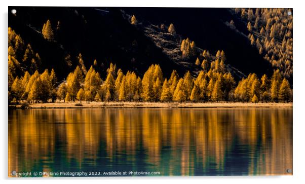Engadine Autumn Acrylic by DiFigiano Photography