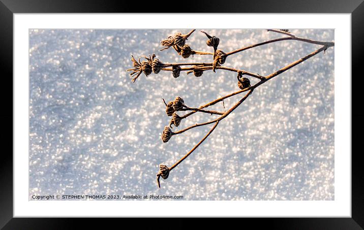 Hanging Over The Snow Framed Mounted Print by STEPHEN THOMAS