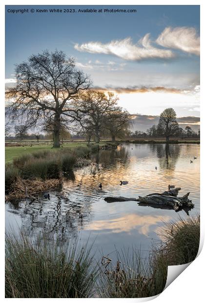 Mid winter sunrise at Bushy Park Englang Print by Kevin White