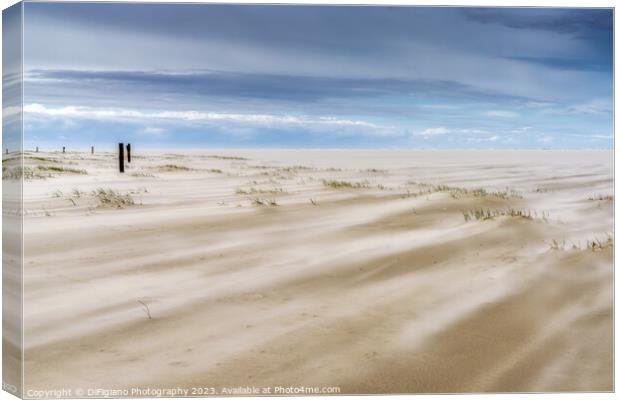 Wadden Sea Wind Canvas Print by DiFigiano Photography