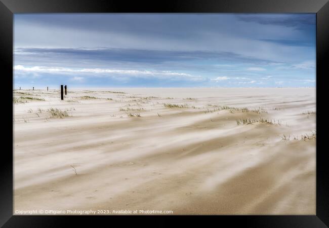 Wadden Sea Wind Framed Print by DiFigiano Photography