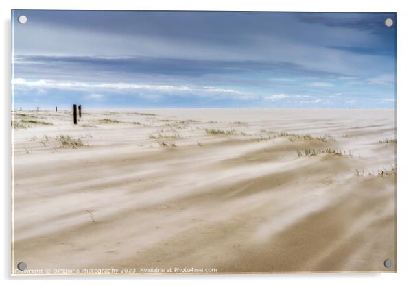 Wadden Sea Wind Acrylic by DiFigiano Photography