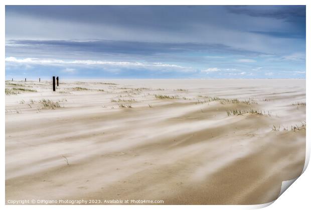 Wadden Sea Wind Print by DiFigiano Photography