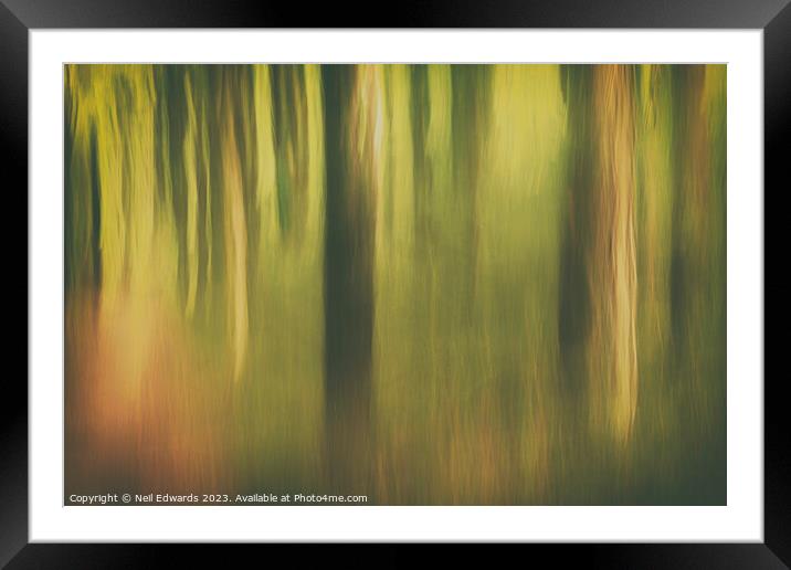 Dream of Trees Framed Mounted Print by Neil Edwards