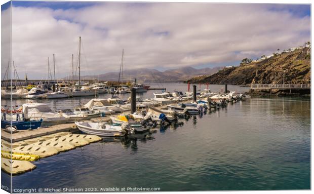 Rows of boats in the harbour. Puerto del Carmen, L Canvas Print by Michael Shannon