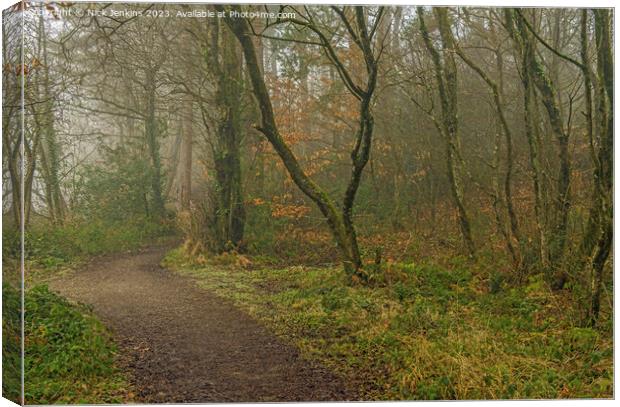 Foggy Day at Hensol Forest Vale of Glamoprgan Canvas Print by Nick Jenkins