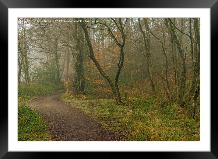 Foggy Day at Hensol Forest Vale of Glamoprgan Framed Mounted Print by Nick Jenkins