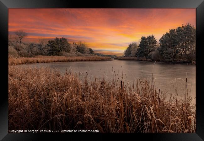 Forest lake at sunset. Framed Print by Sergey Fedoskin