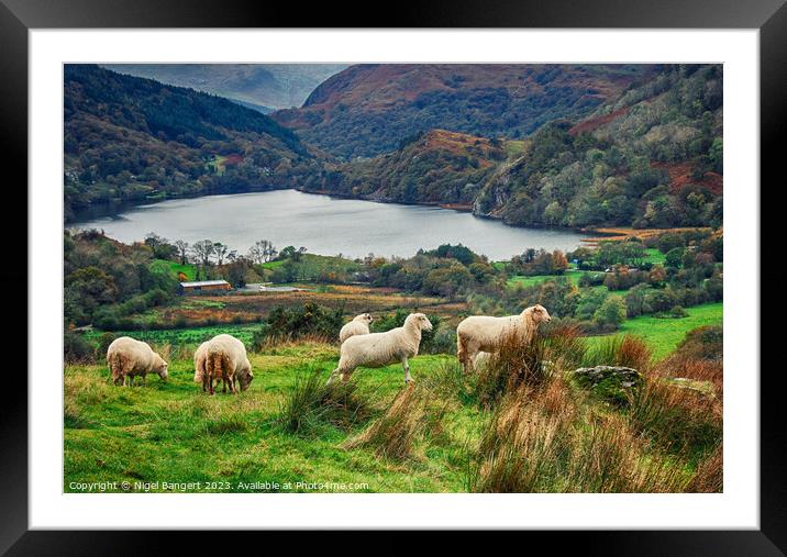 Snowdonia Landscape Framed Mounted Print by Nigel Bangert