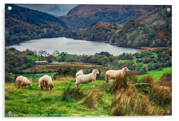Snowdonia Landscape Acrylic by Nigel Bangert