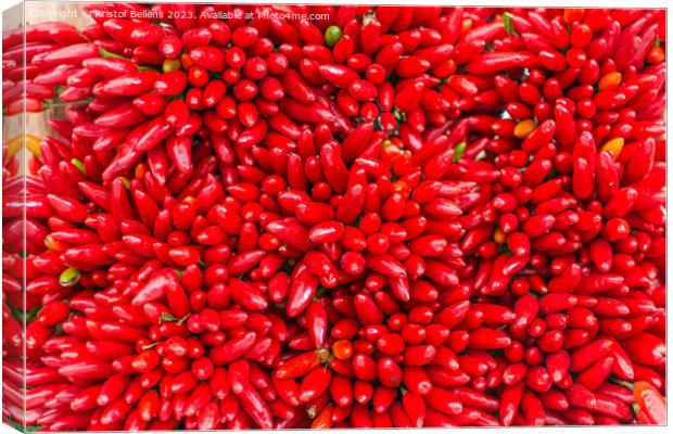 Bunches of red hot chilli peppers in close-up Canvas Print by Kristof Bellens