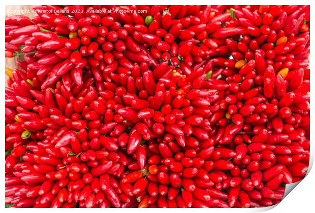 Bunches of red hot chilli peppers in close-up Print by Kristof Bellens