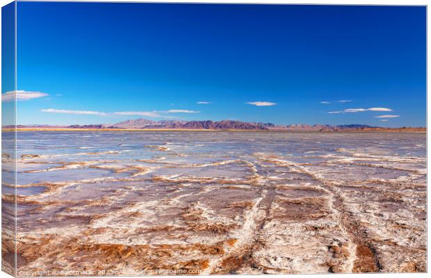 Salton Sea dried up salt lake California America Canvas Print by Spotmatik 