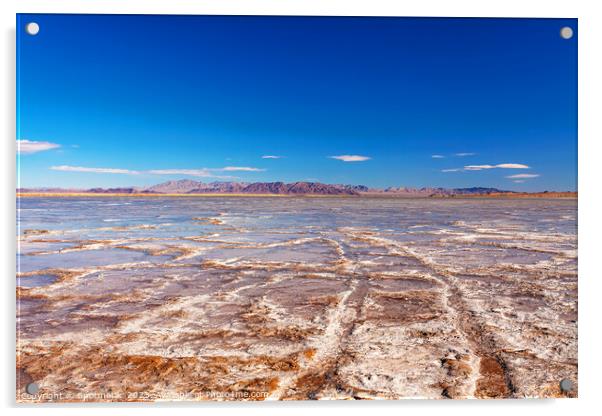 Salton Sea dried up salt lake California America Acrylic by Spotmatik 