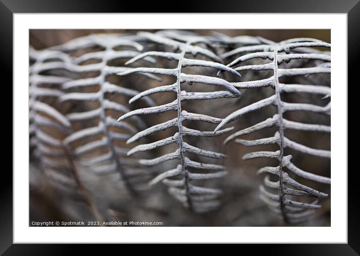 View of grey volcanic ash covered plants Indonesia  Framed Mounted Print by Spotmatik 