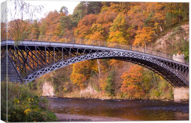 The Bridge at Craigellachie with Autumn Colour Canvas Print by Jacqi Elmslie