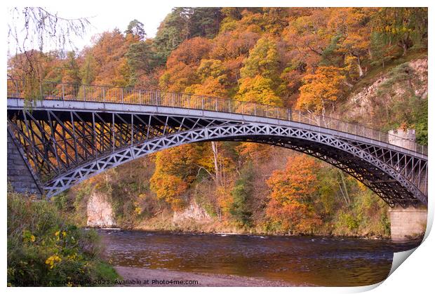The Bridge at Craigellachie with Autumn Colour Print by Jacqi Elmslie