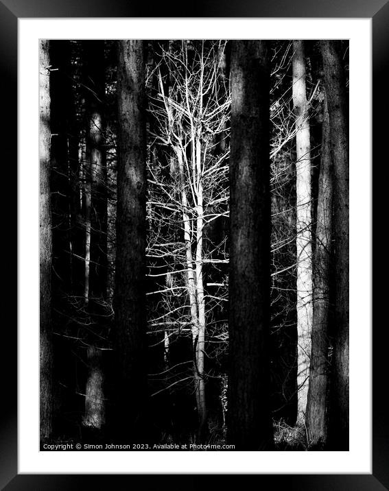 sunlit woodland Monochrome Framed Mounted Print by Simon Johnson
