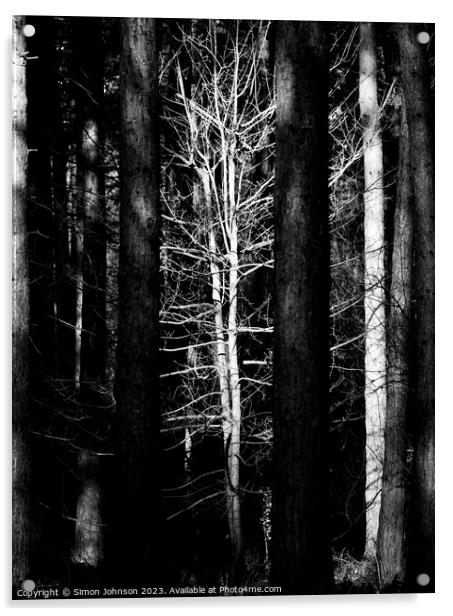 sunlit woodland Monochrome Acrylic by Simon Johnson