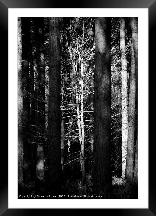 sunlit tree monochrome Framed Mounted Print by Simon Johnson