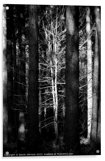 sunlit tree monochrome Acrylic by Simon Johnson