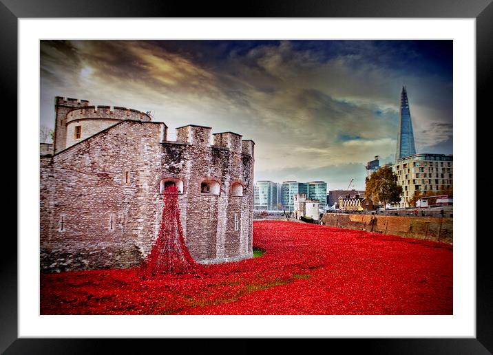 Tower Of London Poppies Red Poppy Framed Mounted Print by Andy Evans Photos