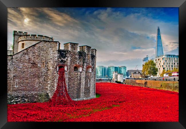 Tower Of London Poppies Red Poppy Framed Print by Andy Evans Photos