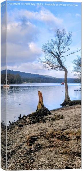 Lake Windermere on at winters day at fell foot  Canvas Print by Pelin Bay