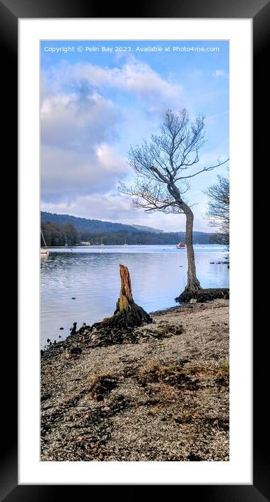 Lake Windermere on at winters day at fell foot  Framed Mounted Print by Pelin Bay