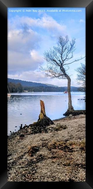 Lake Windermere on at winters day at fell foot  Framed Print by Pelin Bay