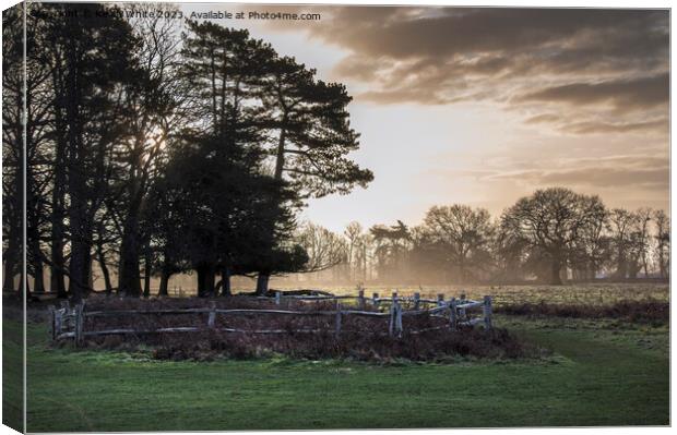 February sunrise at Bushy Park in Surrey Canvas Print by Kevin White