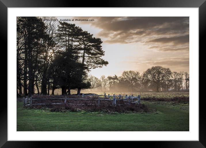 February sunrise at Bushy Park in Surrey Framed Mounted Print by Kevin White